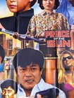 Prince Of The Sun   Orig 90 Pakistani Poster   Conan Lee   Pak Lam Cheng  