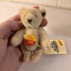 Vintage Steiff Mohair 10cm White Teddy Bear With Tags  