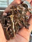 51 3grams Sericho Pallasite Meteorite Slice