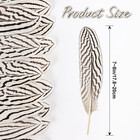 12pcs Silver Pheasant Feathers Bulk Natural Spotted Feathers Pheasant Feather Fo