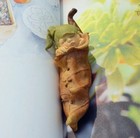 Sleeping Leaf Baby Statue Fairy Garden Sculpture Tabletop Figurine Decor Gifts