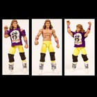Wwe Legends Rockers Shawn Michaels   Marty Jannetty Wrestling Action Figure Toy