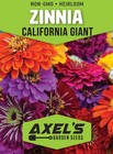 California Giant Zinnia Flower Seeds   Non-gmo   Fresh Annual Flower Seeds
