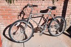 Vintage 80s Diamondback Trail Streak 26    Mtb 20 5    Steel Frame Old School