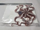 The Octopus  Reusable Silicone Prosthetic 