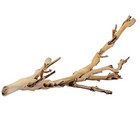  Forest Branch  Reptile Terrarium Decoration Small
