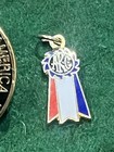Afghan Hound Club Of America Vtg Enamel Lapel Pin Badge   Akc Pendants  12k Gf