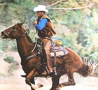 1981 Marlboro Man Cowboy Metal Tin Cigarette Tobacco Horse Western Sign 21 X 17