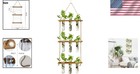 Wall Hanging Propagation Station With 9 Tube Vases For Plant Cuttings Decor