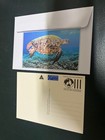  1463  2-9-2025 - World Turtle Day 23-5-2024 Cover    Turtle Maxicard