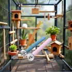 2 Pcs Multi-color Random Bird Perch Stand Toy Wood Parrot Perch Stand Grinding C