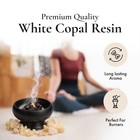 White Copal Resin - 100  Pure Natural Incense Gum Dammar Granular Rock Grade A