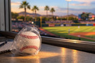 Rawlings Official Minor League Baseball Milb Autograph Ball New In Wrapper