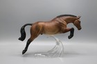 Breyer Traditional Best Of British Connemara Pony  9170 Newsworthy Lsq