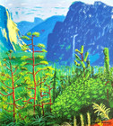 David Hockney Lithograph Coa Original Signed Op Hand Numbered Limited