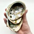 Lot 3 Small Mother Of Pearl Mop Abalone Shells Incense Ashtray Sage Travel Size