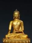 12  Old Antique Tibet Tibetan Buddhism Temple Bronze Gilt Amitabha Buddha Statue