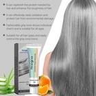 Premium 100ml Light Grey Silver Permanent Hair Dye Color Cream Hair Dye Unisex