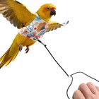 Bird Harness Leash Set Parrot Flying Rope Strap Outdoor Training For Cockatiel