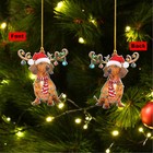 Dachshund Reindeer Santa Hat Acrylic Ornament Christmas Pet Merry Xmas Gift Dog