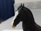 Custom Painted Marwari Type Horse Signed C  Bushman 2013