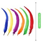 Natural Rooster Tail Feathers 50pcs 10-12inch Long Rooster Coque Tail Feathers B