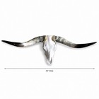 Authentic Longhorn Skull 48    Wide Rustic Western Ranch Wall Decor