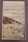 Vtg Set Of 2 Framed Banana Bark Art From Hawaii Limited Production Unsigned