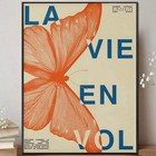 Mid-century Modern Vintage Interior Butterfly1207