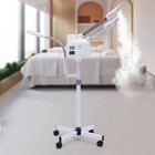 Pro 3 In 1 Facial Steamer 5x Magnifying Lamp Hot  Cold Ozone Machine Spa Salon