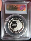 2009 W Proof Platinum  100 American Eagle 1 Oz Statue Of Liberty Pcgs Pr 69 Dcam