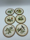 Vintage Pimpernel Acrylic Round Coasters Set Of 6 Songbird Birds Cork Back