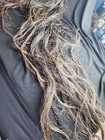 Taxidermy Soft Tanned Real Horse Tail 52    