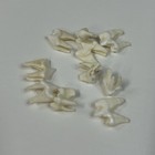 Lot Of 10 Real Coyote Molars Teeth Taxidermy Art Weird Odd Project Unqiue   1333