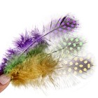  120pcs Spotted Small Natural Bulk Feathers 2-3 Inches For For Sewing Crafts 
