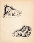 1937 Antique Sealyham Terrier Print Wall Art Lucy Dawson Illustration 5598r