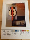Pingouin 70 s Latch Hook Canvas Only Flammeche Rug Wall Hanging Size 20x31