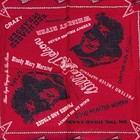 Vintage Willie Nelson  signature    Family Red Bandana 19 5    Square 1970s Tour