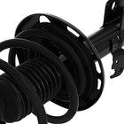 Front Pair Struts Shocks Complete Assembly 2014-2018 Toyota Corolla