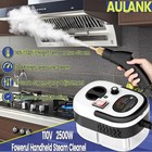 2500w Handheld Steam Cleaner portable Car Steamer For Auto Detailing