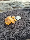 Genuine Surf Tumbled Seaglass
