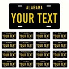 Personalized Metal License Plate With Ur State And Name Customized 3 x6  6 x12 