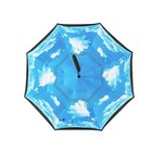 Inverted Umbrella Windproof Reverse Double Layer With C-shaped Hands usa Seller