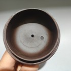 Yixing Zisha Teapot Unique Pu-erh Pot Carved Lifelike Intricate Organic Relief