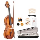     winter Special     violin W Softshelled Hard Case  Wax  Bow 