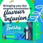 Freshwhip Mint 8 2g Cream Chargers 600 Counts Overstocked