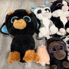 Lot Of 10 Beanie Boos Great Condition Different Variety    