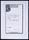 Lot 40310 Stamp Collection Malaysia 1867-1948 On Palo Albumpages 