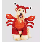 Lobster Frontal Dog And Cat Costume - Xs