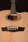 Washburn Acoustic Electric Guitar Harvest Dreadnought Cutaway